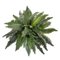 "Fernpick artificial plant flame retardant"
