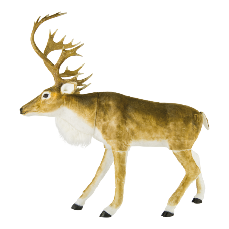 Reindeer,