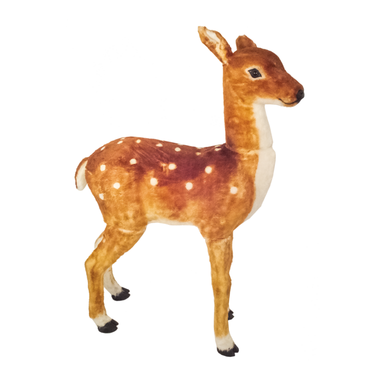 Standing fawn,