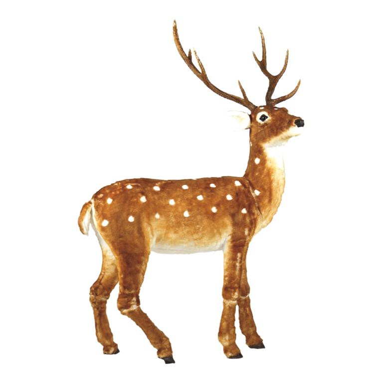 Deer,