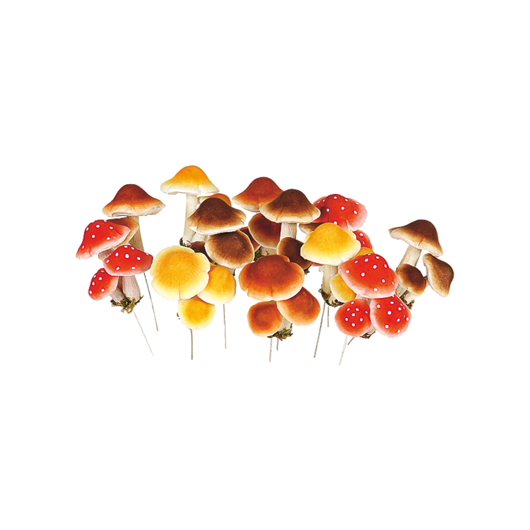 Mushrooms,