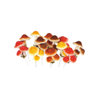 Mushrooms,