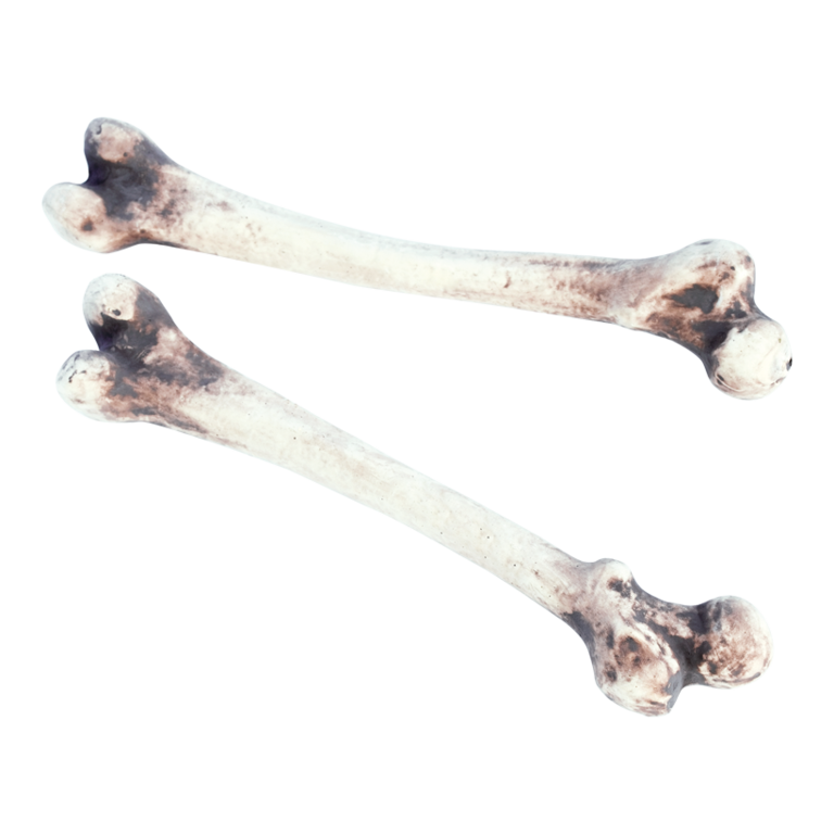 Bone,
