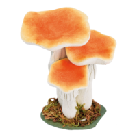 Chanterelle,