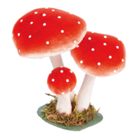 Fly agaric,