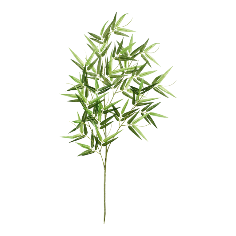 Bamboo branch,