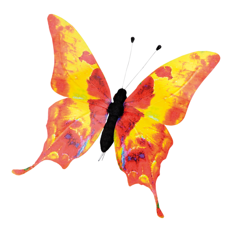 Butterfly,