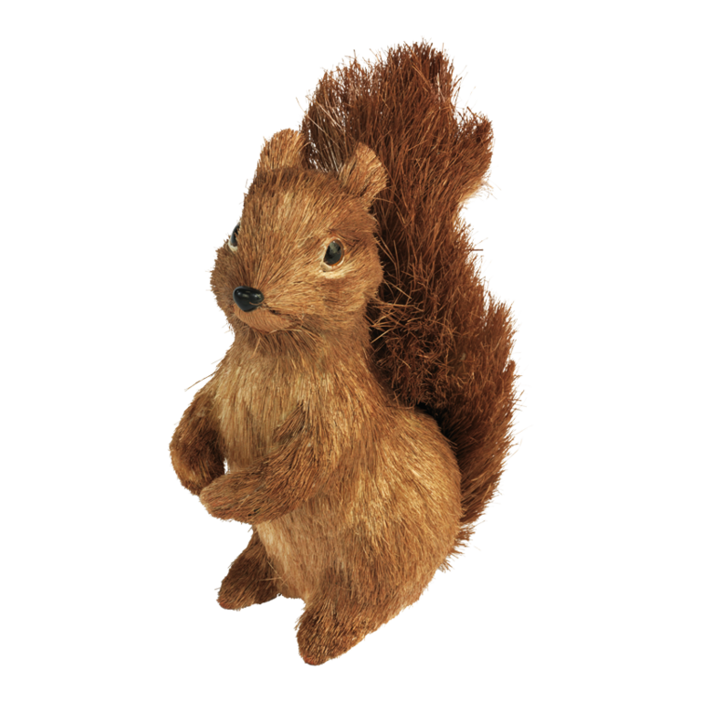 Squirrel,