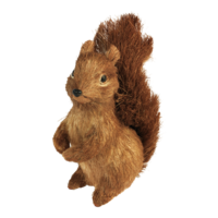 Squirrel,