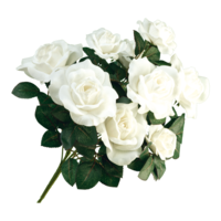 Rose bouquet,