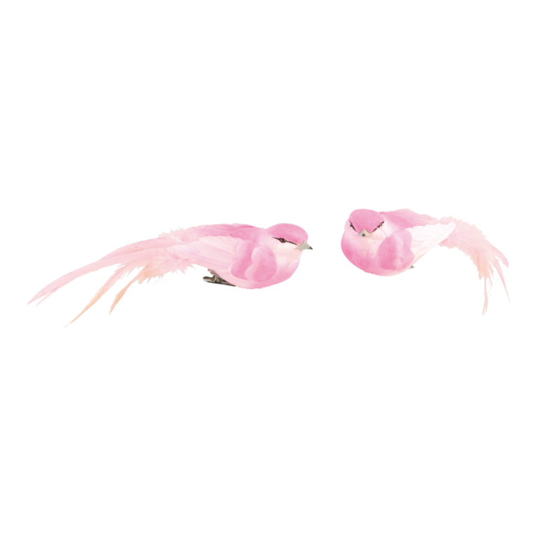 Birds with clip,