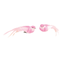 Birds with clip,