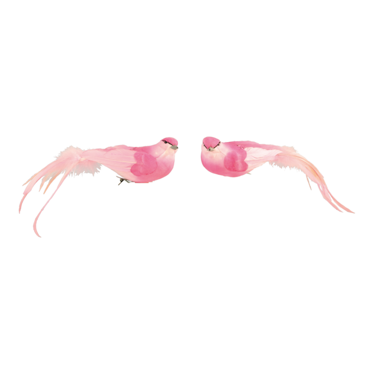 Birds with clip,