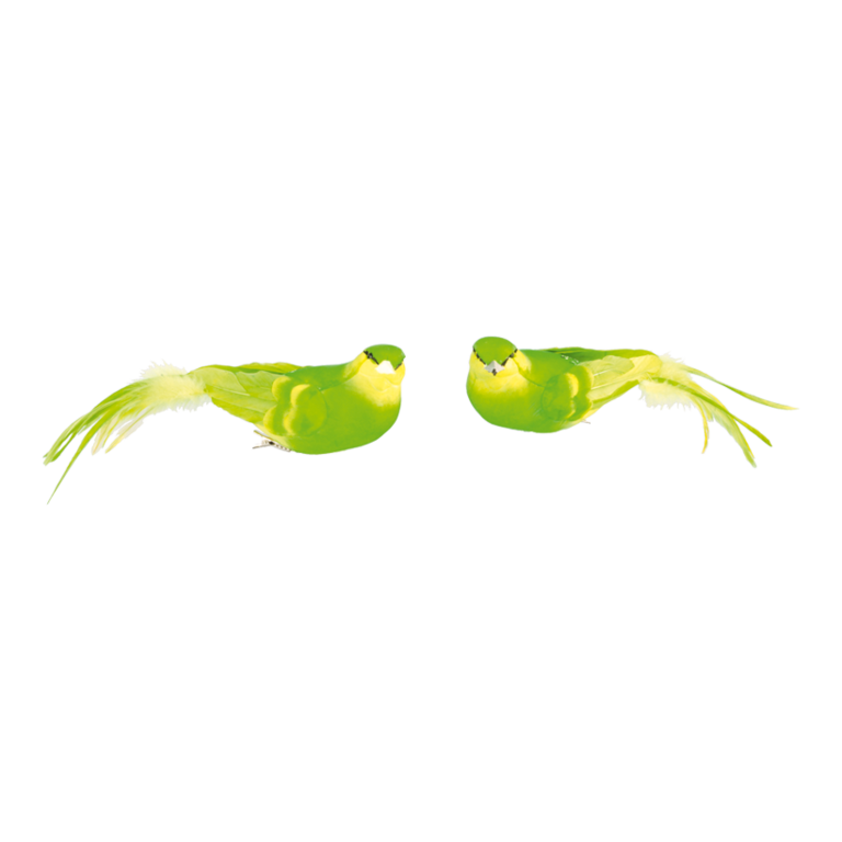 Birds with clip,
