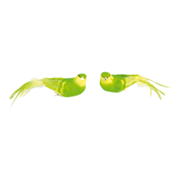 Birds with clip,
