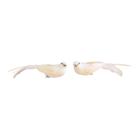 Birds with clip,