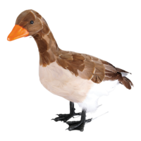 Goose, standing,