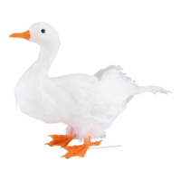 Goose, standing,