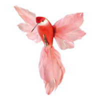 Hummingbird with clip,