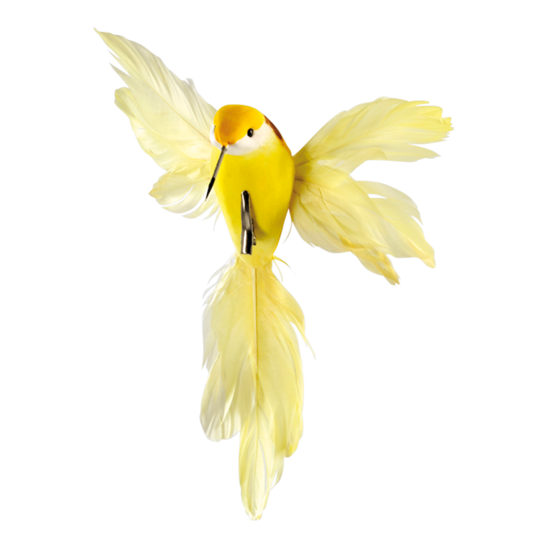 Hummingbird with clip,