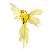 Hummingbird with clip,