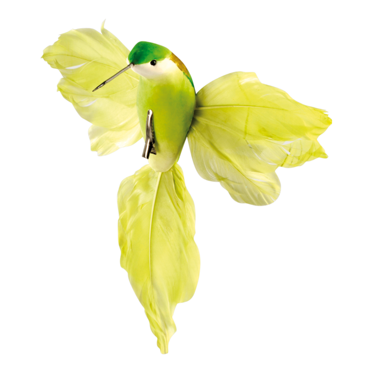 Hummingbird with clip,
