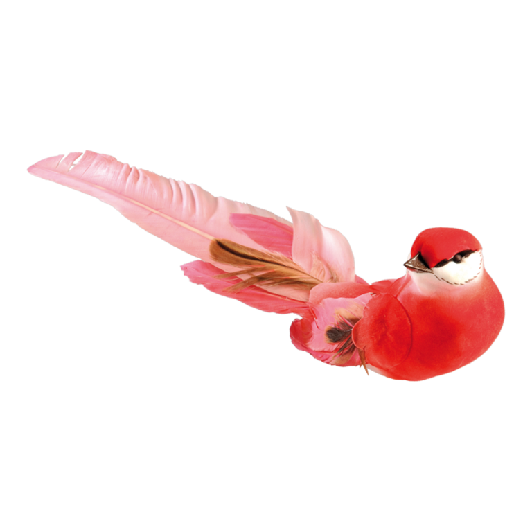 Bird with clip,