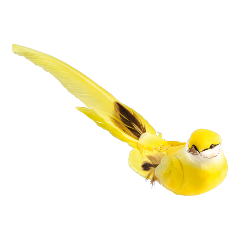 Bird with clip,