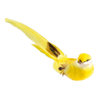 Bird with clip,