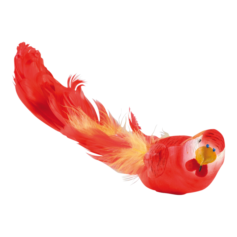 Budgerigar with clip,