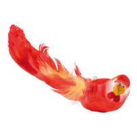 Budgerigar with clip,