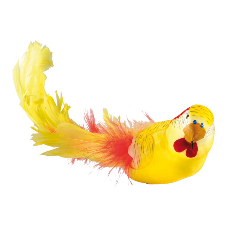Budgerigar with clip,