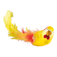 Budgerigar with clip,