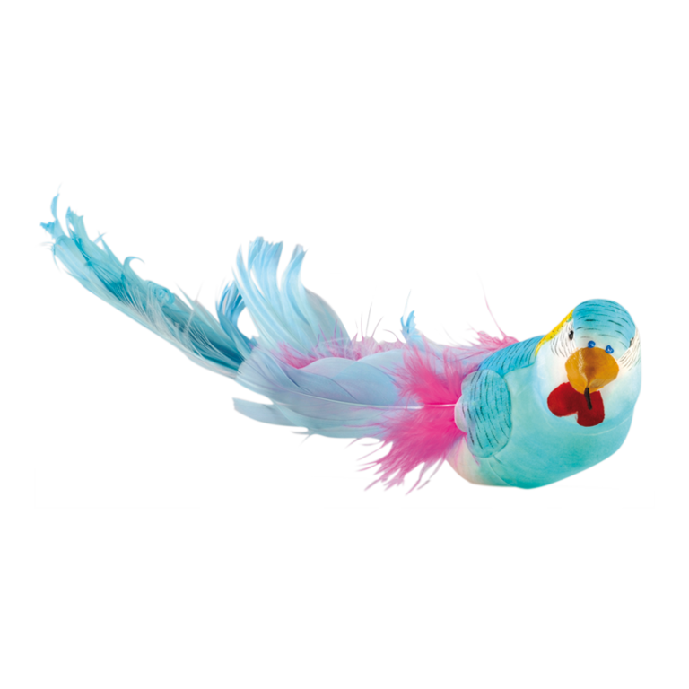 Budgerigar with clip,
