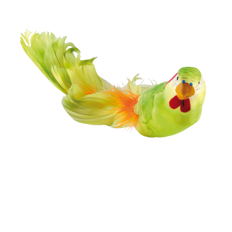 Budgerigar with clip,