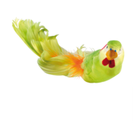 Budgerigar with clip,