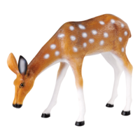 # Deer, browsing,