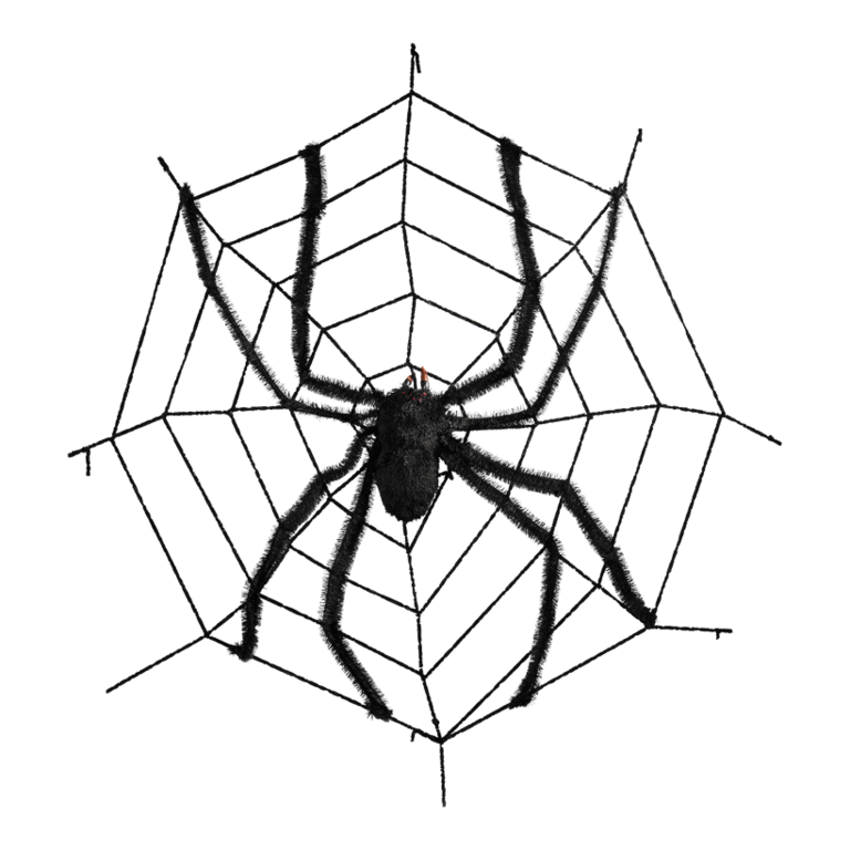 Spiderweb with spider,