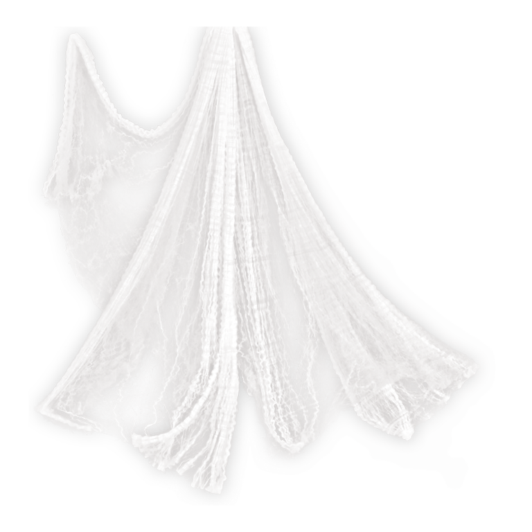 Cobweb,