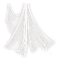 Cobweb,