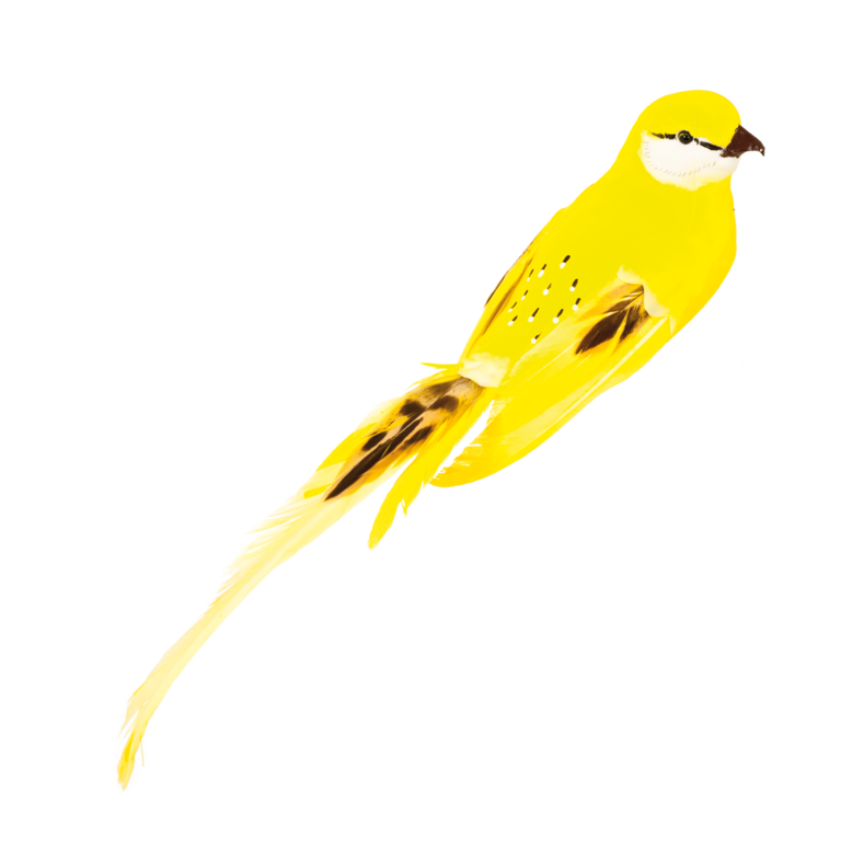 Bird with clip,