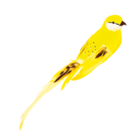Bird with clip,