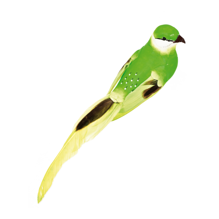 Bird with clip,