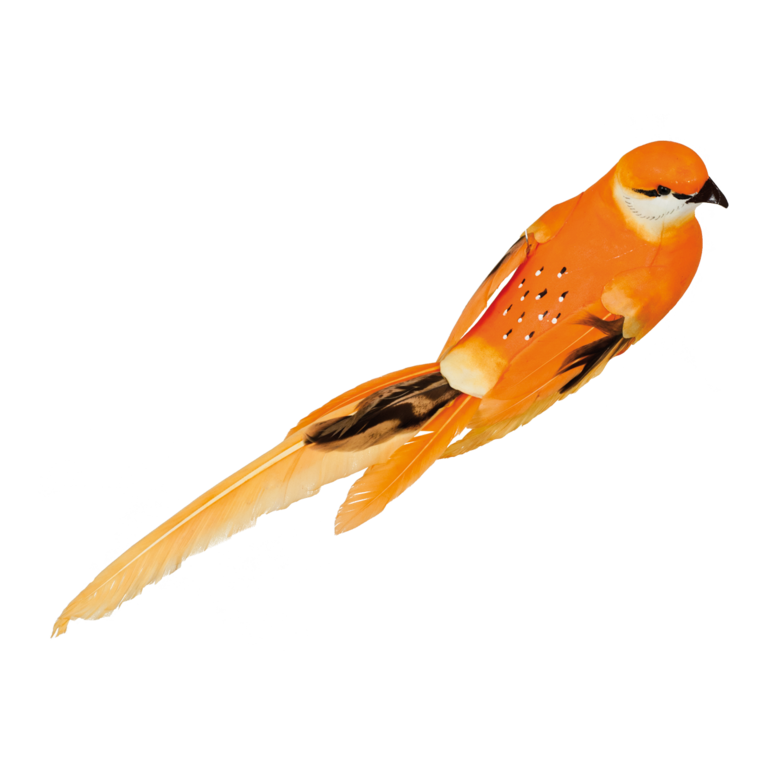Bird with clip,