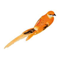 Bird with clip,
