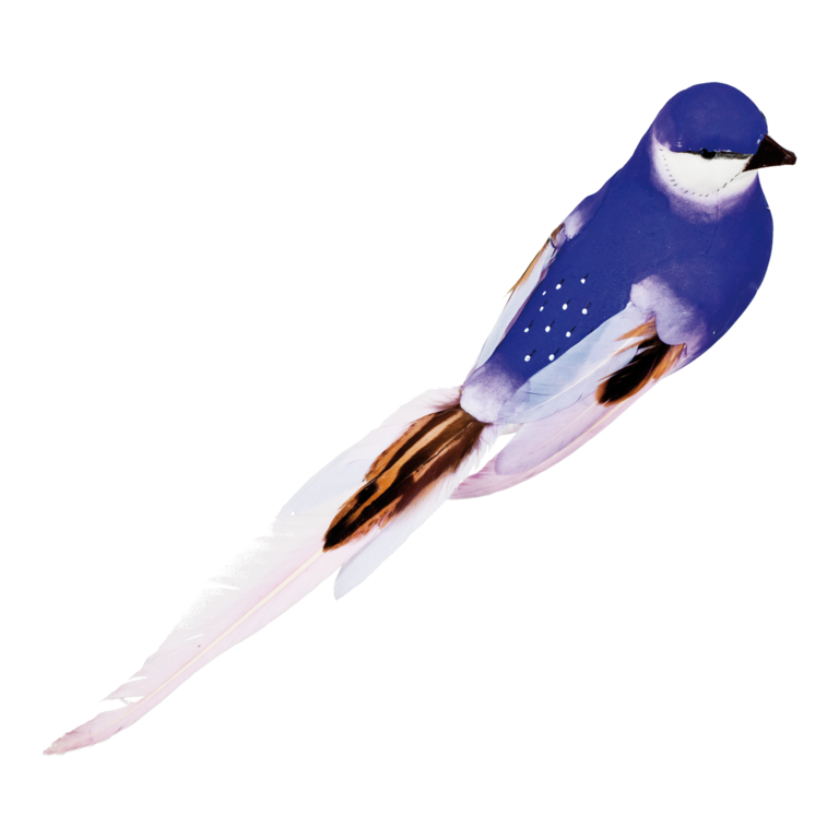 Bird with clip,