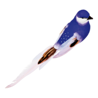 Bird with clip,