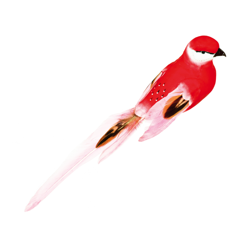Bird with clip,