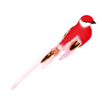 Bird with clip,