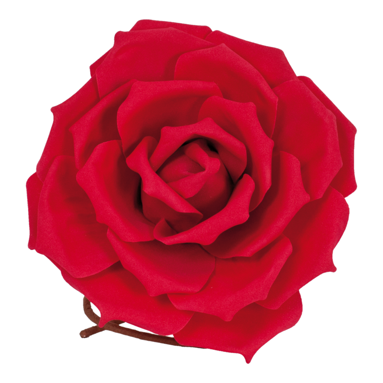 Rose head,